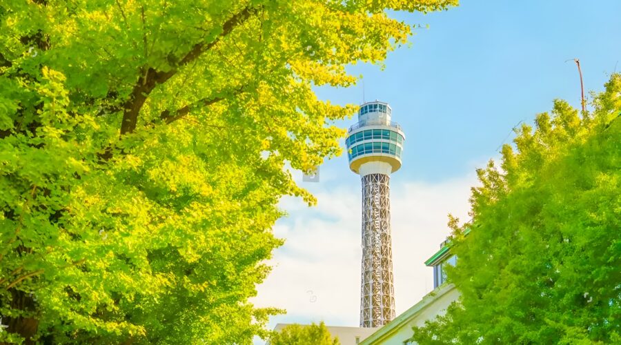 Yokohama Marine Tower - Yokohama - Private Car Tour